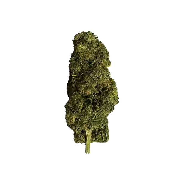 Wolv'kush 10 OH HHC