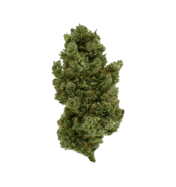 Sango Kush CBX