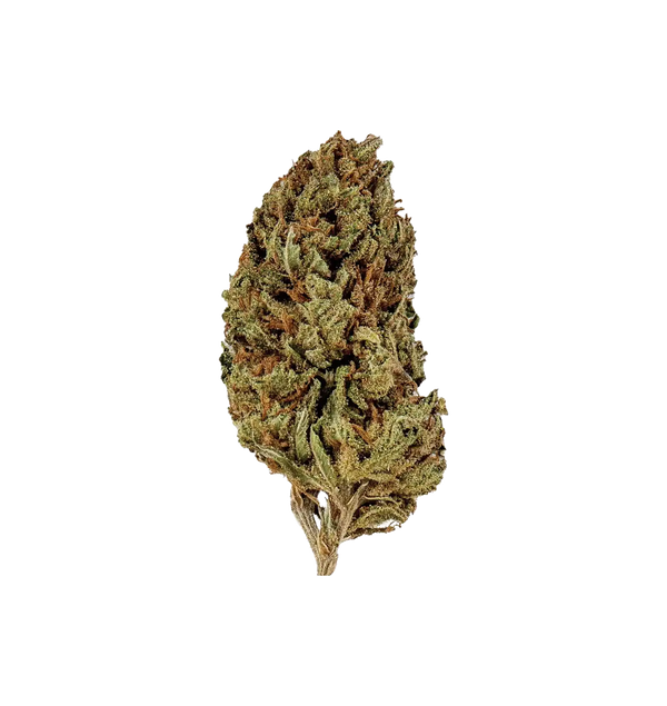 Cookies Kush THC+
