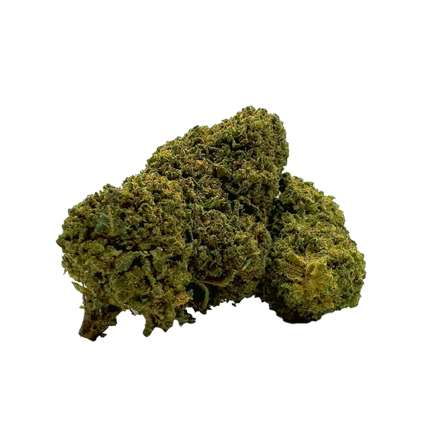 Piccolo Haze CBX